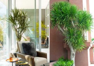Chống nóng cửa kính cường lực